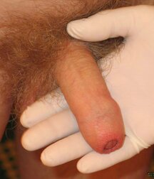 Twink gets medical checkup gay porn 61e1d69d2044f.jpg