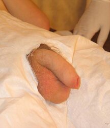 Twink gets medical checkup gay porn 61e1d71457a14.jpg