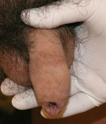 cute Gay porn twink at Doc twinks 61f803fe60507.jpg
