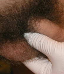 cute Gay porn twink at Doc twinks 61f80403214d4.jpg