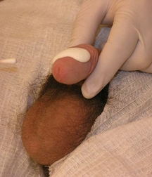 cute Gay porn twink at Doc twinks 61f8046339845.jpg
