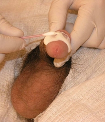 cute Gay porn twink at Doc twinks 61f804683791d.jpg
