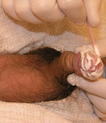 cute Gay porn twink at Doc twinks 61f8046f38353.jpg
