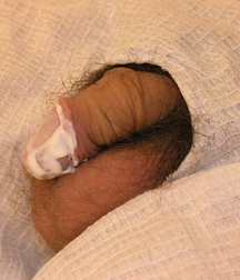 cute Gay porn twink at Doc twinks 61f8047702c01.jpg