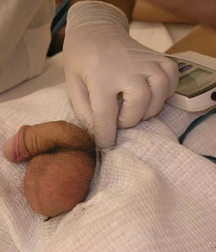 cute Gay porn twink at Doc twinks 61f804d0dbb01.jpg