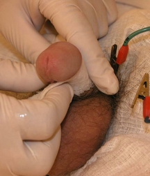 cute Gay porn twink at Doc twinks 61f804d5a3a67.jpg