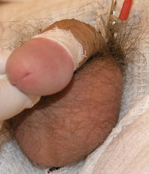 cute Gay porn twink at Doc twinks 61f804d83c80d.jpg