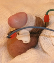 cute Gay porn twink at Doc twinks 61f804ee2a7ba.jpg
