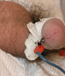 cute Gay porn twink at Doc twinks 61f804f0b22d7.jpg