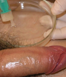 cute Gay porn twink at Doc twinks 61f8059f615be.jpg