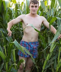 twinks in cornfield gay porn 6245fb5dd9329.jpg