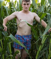 twinks in cornfield gay porn 6245fb616cb13.jpg