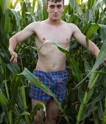 twinks in cornfield gay porn 6245fb664c593.jpg