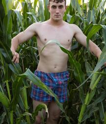 twinks in cornfield gay porn 6245fb6ae7880.jpg