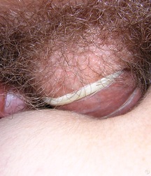gayboys Sulev and Edwin in Love Porn 630be52276d72.jpg