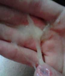 Hot Boys 5 5dbdbe5e5bfb4.jpg