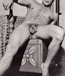 Vintage Gay 01 5b5e4fc1cd5a8.jpg