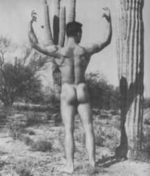 Vintage Gay 01 5b5e4fd7b7588.jpg