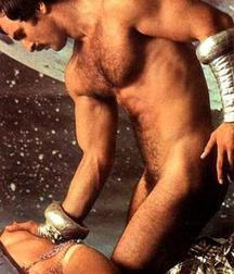 Vintage Gay 01 5b5e50f6e01db.jpg
