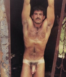 Vintage Gay 01 5b5e5105a7c52.jpg