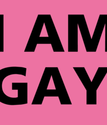 gay theme 5bc175d8be150.png