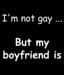 gay theme 5bc175e440f7d.png