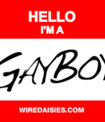 gay theme 5bc175f00bb62.png