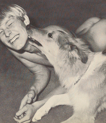 vintage blond Rex 5d3e072861308.jpg