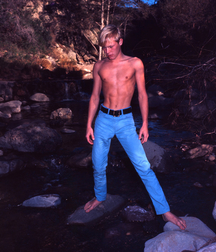 vintage blond Rex 5d3e0760b3837.jpg