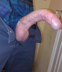Curved Cocks 01 5c3e4b32d356c.jpg