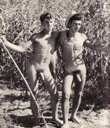 Assorted guys from web 25 5ec452c719a8b.jpg