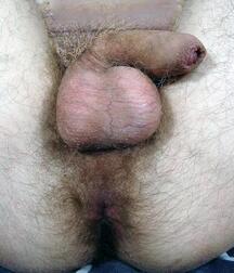 Assorted guys from web 26 5ec70551a54d6.jpg