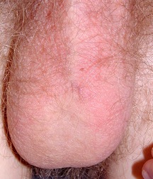 Assorted guys from web 40 5f19eb366a6f2.jpg
