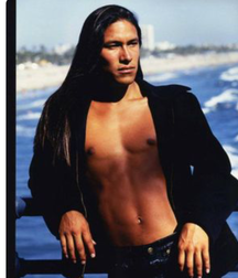 Native Americans 5c4dfeab615df.png