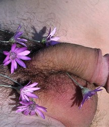 Hot boys small cocks 5c9f25a2e09bf.jpg