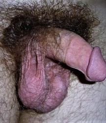 Hot boys small cocks 5c9f25abca80b.jpg