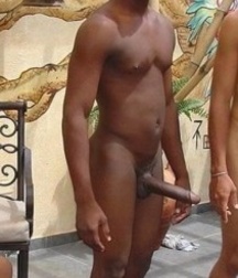 Boners 5bd370011a275.jpg