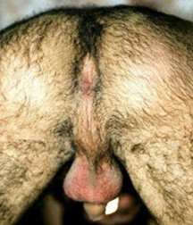 EternalSBY Muscle Boys ASS & COCK 5b74c9f3ae30c.jpg