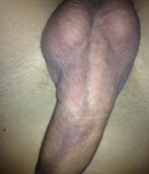 Newbie-Twink 5b8c06460eb0c.jpg