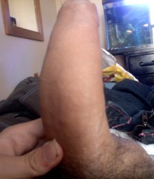 For the love of cocks 5bc38f1150d2a.jpg