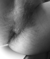 Insert Here 5c53971f66f91.jpg
