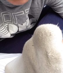 Twinks In Socks 5c64d0b87c23a.jpg