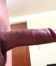 Latino Dicks 5c92eef954b30.jpg
