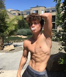 boxer 5ba852596dbce.jpg