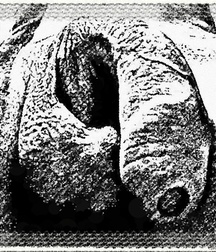 Erotic Art Boys Porn 5efb55482bd36.jpg