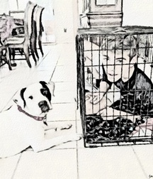 art twink tube style enjoy 61bc96c7f3e6b.jpg