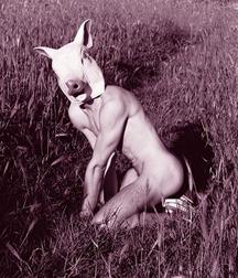 Our fans 5ba1068e44e9e.jpg