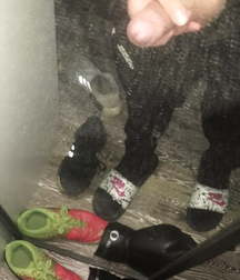 Adidas Boys  5bc6d47596e06.jpg