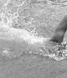Old b&w photo fun 5c935a2437042.jpg