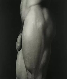 Gay Art Mix 5cbf94fe57565.jpg